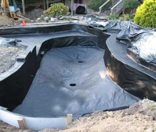 chống thấm hồ cá koi