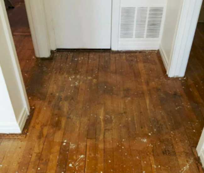 san-nha-bi-tham-nuoc-1 sàn nhà bị thấm nước