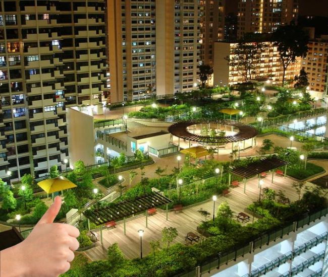 sân thượng chung cư sau khi chống thấm có thể trồng cây