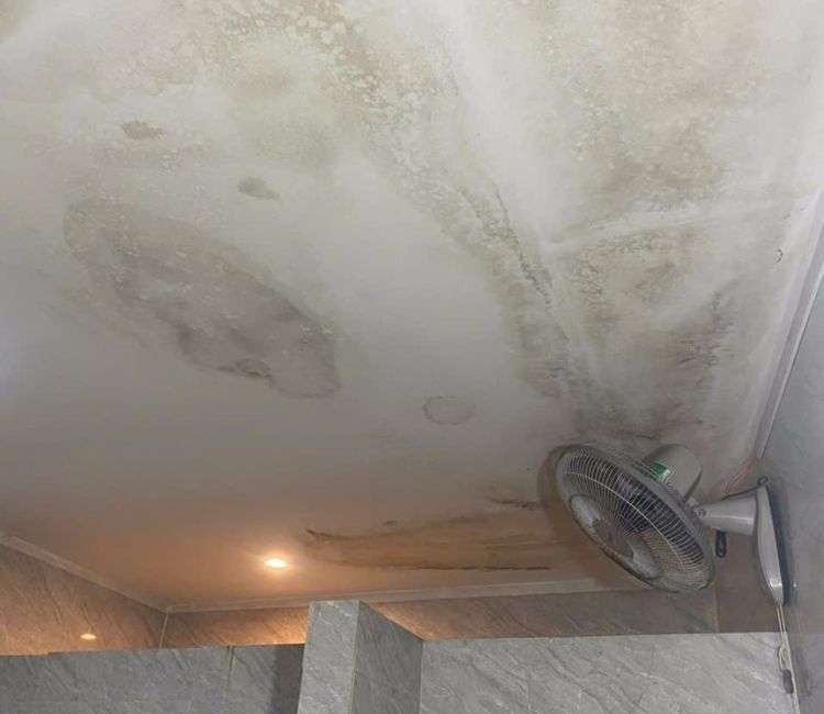 tran-nha-can-chong-tham-5