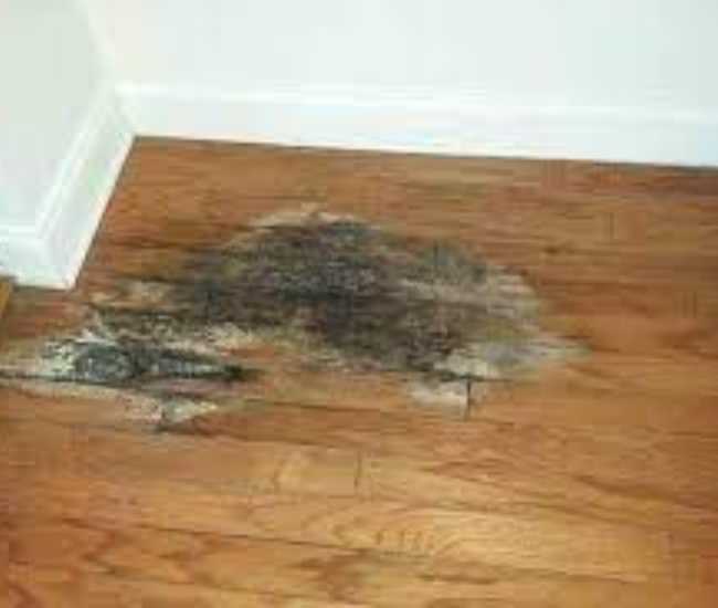 xu-ly-san-nha-bi-tham-nuoc xử lý sàn nhà bị thấm nước