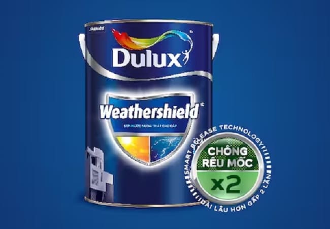son-dulux-chong-reu-moc sơn dulux chống rêu mốc